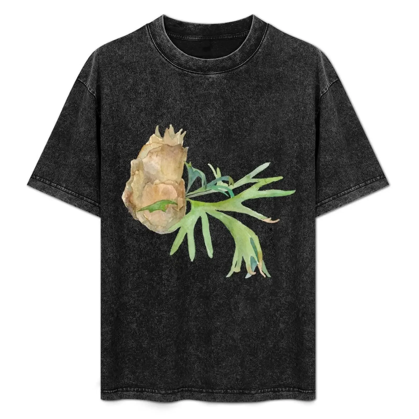 

Staghorn Fern. Watercolor painting. Hand painted illustration. T-Shirt Fashion Pattern Printed Tee Shirt