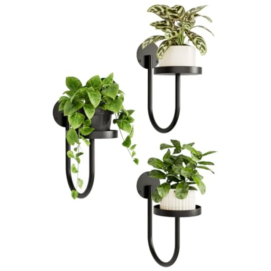 

Wall Plant Holder Wall Planters for Indoor Plants Plant Hanger Indoor Window Plant Shelves Hanging Plant Holder Window Plant H