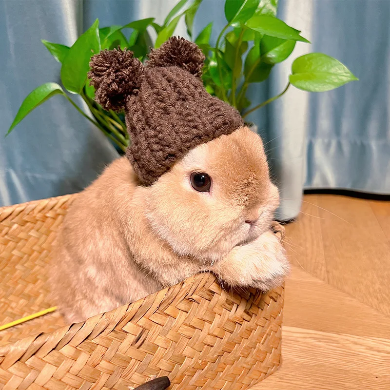 Rabbit Knitted Hat for Pet Rabbit Decorative Bunny Scarf Collar Small Animal Clothes Hat Guinea Pig Stuff Rabbit Pet Accessories