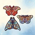 HP-Set-0159