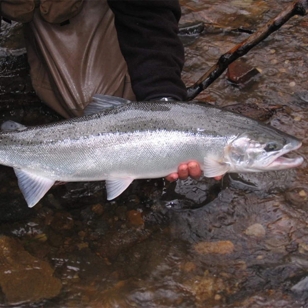 MUUNN 10 قطعة حوض الأسطوانة ، نحيل قطرة النار الوزن ، Jika/جهاز مجاني 1/16OZ-1OZ ، باس كرابي صيد السمك الملحقات #5