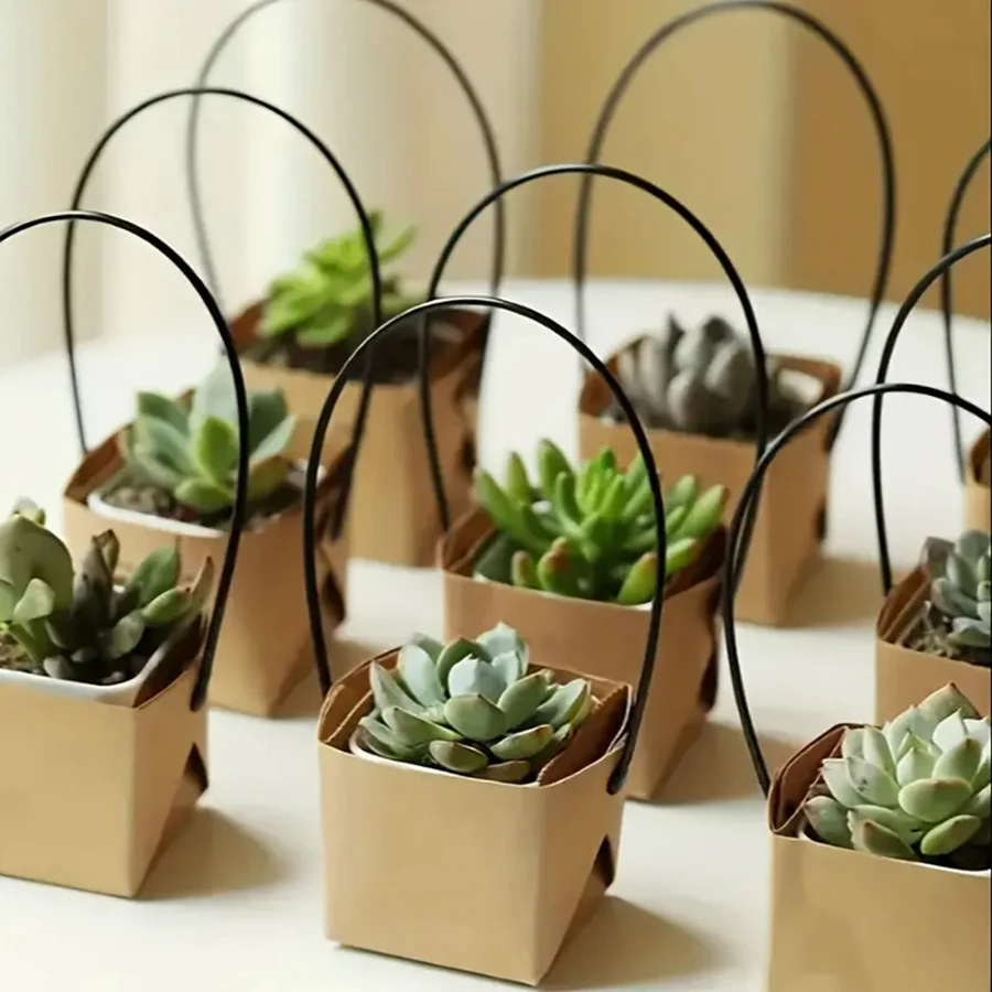 E9 5Pcs 6cm Kraft Paper Succulent Potted Plant Box Indoor Outdoor Universal Foldable Hanging Potted Plant Box Gardening Tools