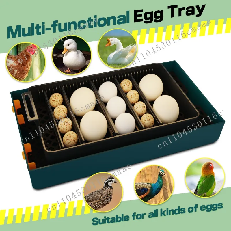 Small Automatic Setter Commercial 10 Egg Hatcher for Sale