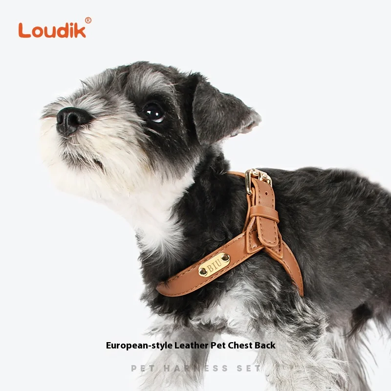 

Loudik Waterproof Leather Dog Chest Harness Pet Leash Set Universal Pet Supplies For Small And Medium Dogs