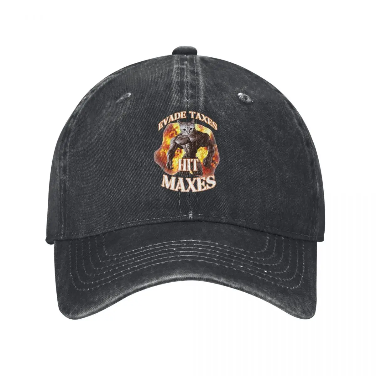 Baseball Cap Evade Taxes Hit Maxes Cat Gym Meme Accessories Men Women Vintage Distressed Washed Funny Animal Casquette Dad Hat