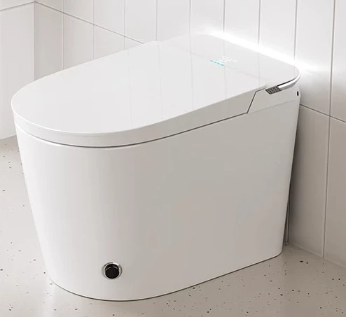 

Fully automatic smart toilet household double waterway