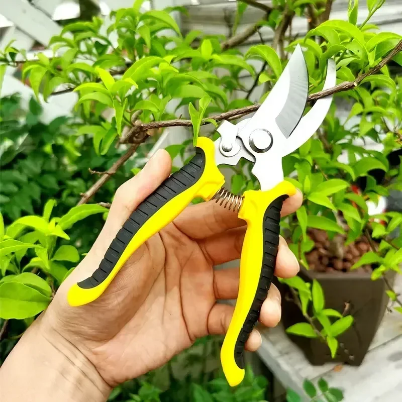 Snoeien Heavy Duty Garden Professionele schaar voor het trimmen van takken Fruitboom Huishoudelijke tuinschaar