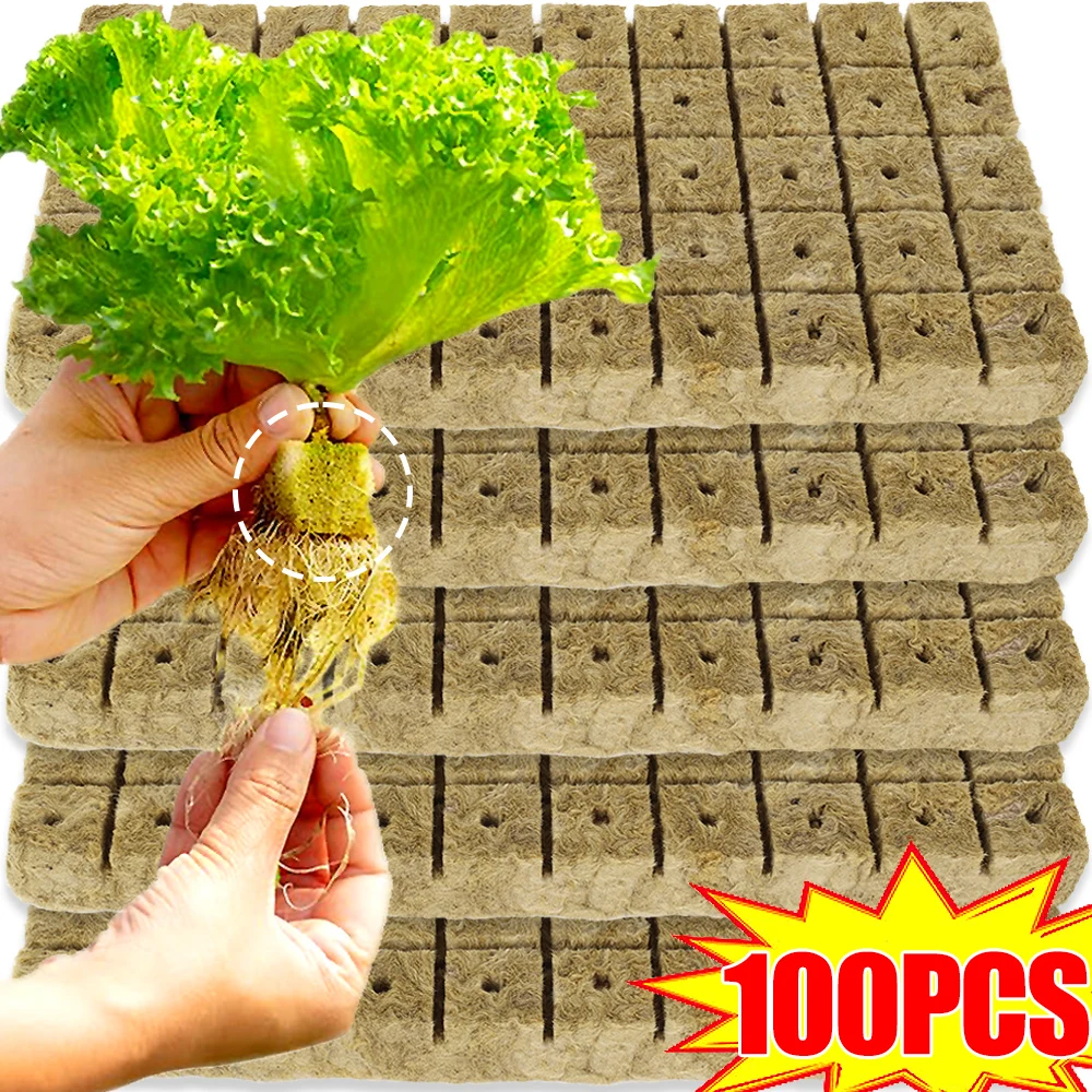 Steenwol Startpluggen Steenwol Grow Cubes Zaadstarters Plantblokjes Hydrocultuur Stekken Tuinplanten Voortplanting Groeien