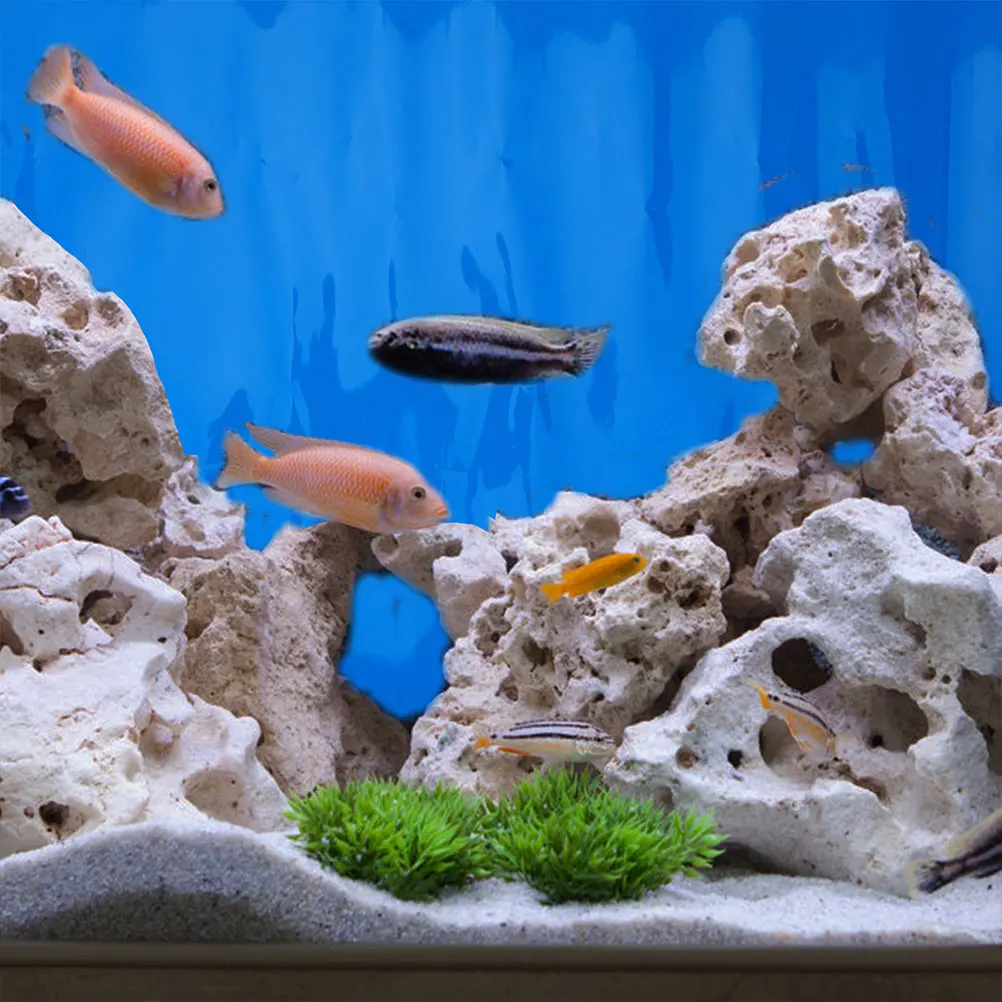 

Fish Tank Background Sticker Removable Decorative Paper Thickened Poster Simple Application Bright Color Design Fine Texture