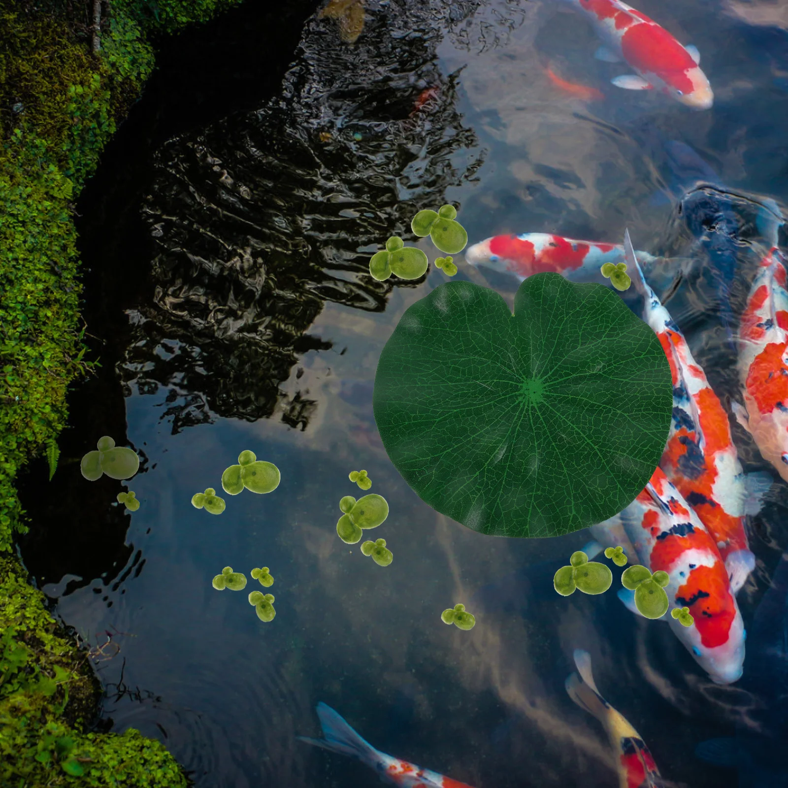 

1Set Artificial Floating Duckweed Plants Realistic Plastic Aquarium Decor Fish Tank Decorations Freshwater Saltwater Fake