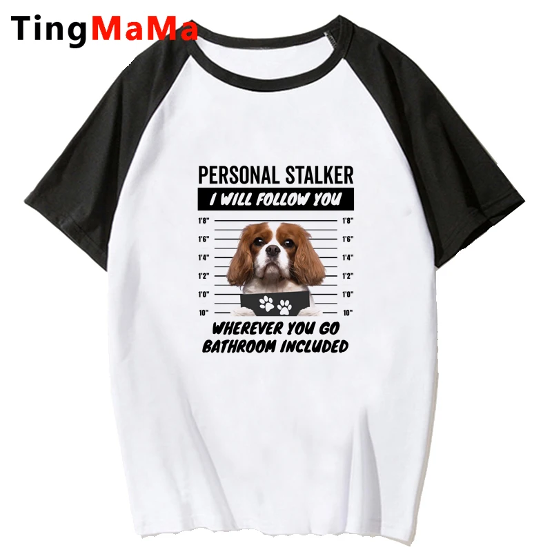 Cavalier King Charles Spaniel tshirt clothes women y2k clothes harajuku ulzzang grunge kawaii clothes white t shirt tumblr