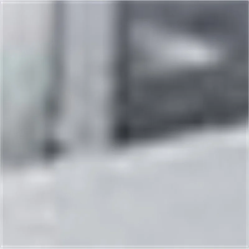 

Stainless Steel Slicer Vegetables Meat Slicer Slicing Fresh Meat Cabbage Shredder Slicer