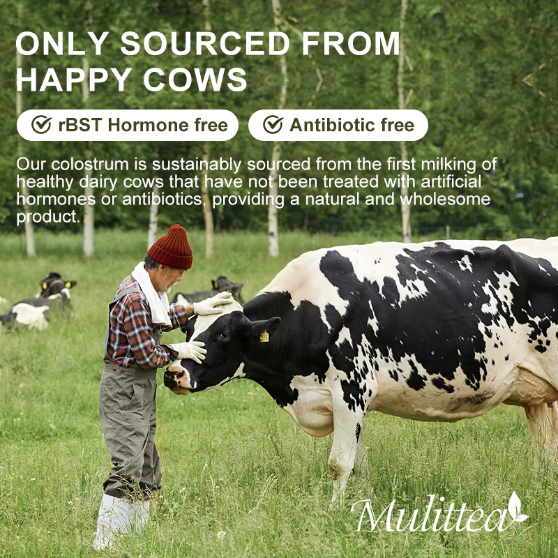 Mulittea Highly Concentrated Pure Bovine Colostrum Supplement Provides Immune Support Promotes Gut Health Energy supplement