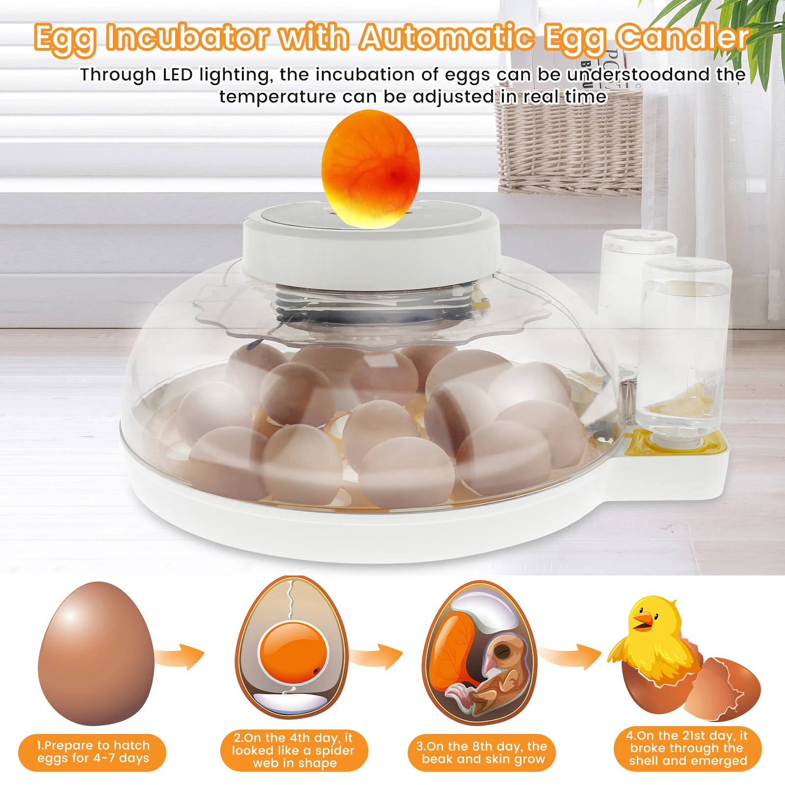 Egg Incubator Smart Incubators for Hatching 18 Eggs Chicken Incubator with Auto Turning Humidity Control and Display 360° View