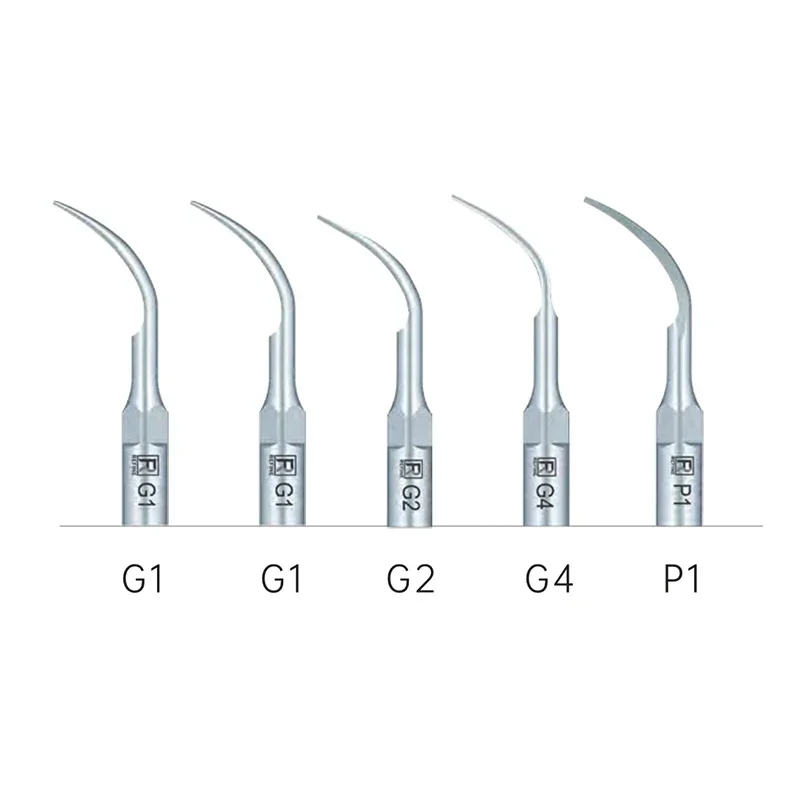 Refine Max Piezo3 + 치과용 초음파 스케일러, LED 핸드피스, 치석 얼룩 제거기, 치아 미백, 블루