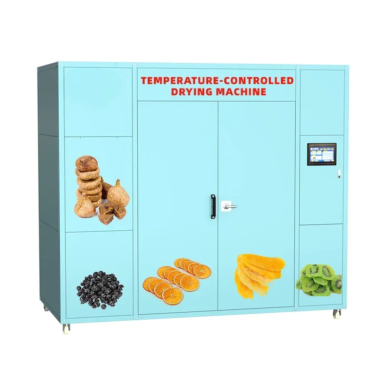 Fruit and Mango Drying Machine with Temperature Control Reliable Energy Saving Food Grade Dried Blueberry