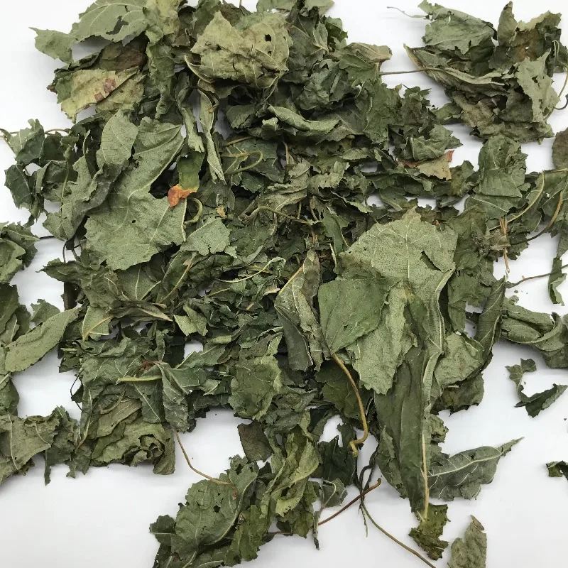Wholesale Cat Toy Most Popular in Matatabi Pet Chew Toys Dried Leaf Actinidia Polygama Matatabi Silvervine Leaves