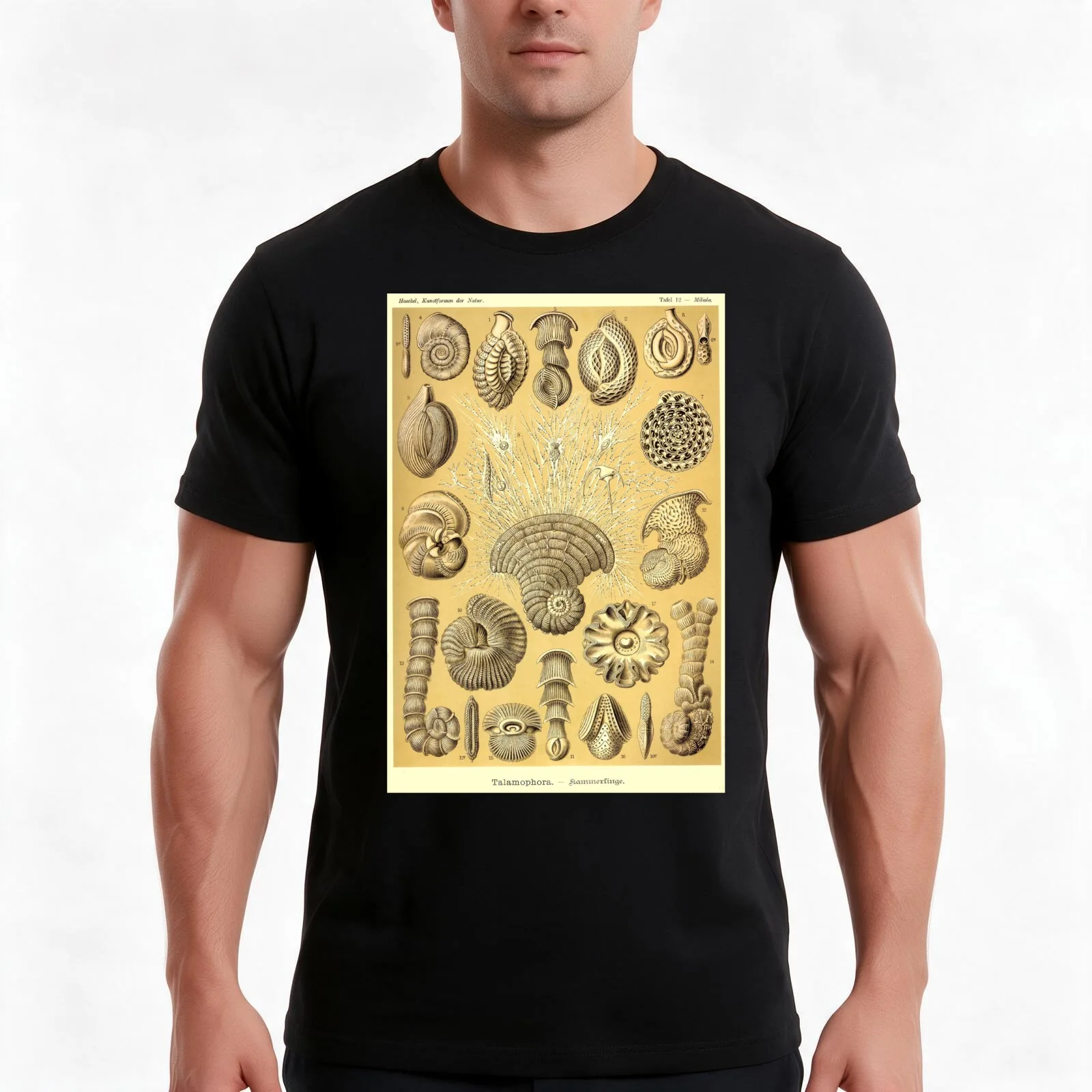 Plate 12. Thalamophora (now Foraminifera), amoeboid protozoans T-Shirt, Summer Casual Cotton Tee, Oversized Streetwear Tops