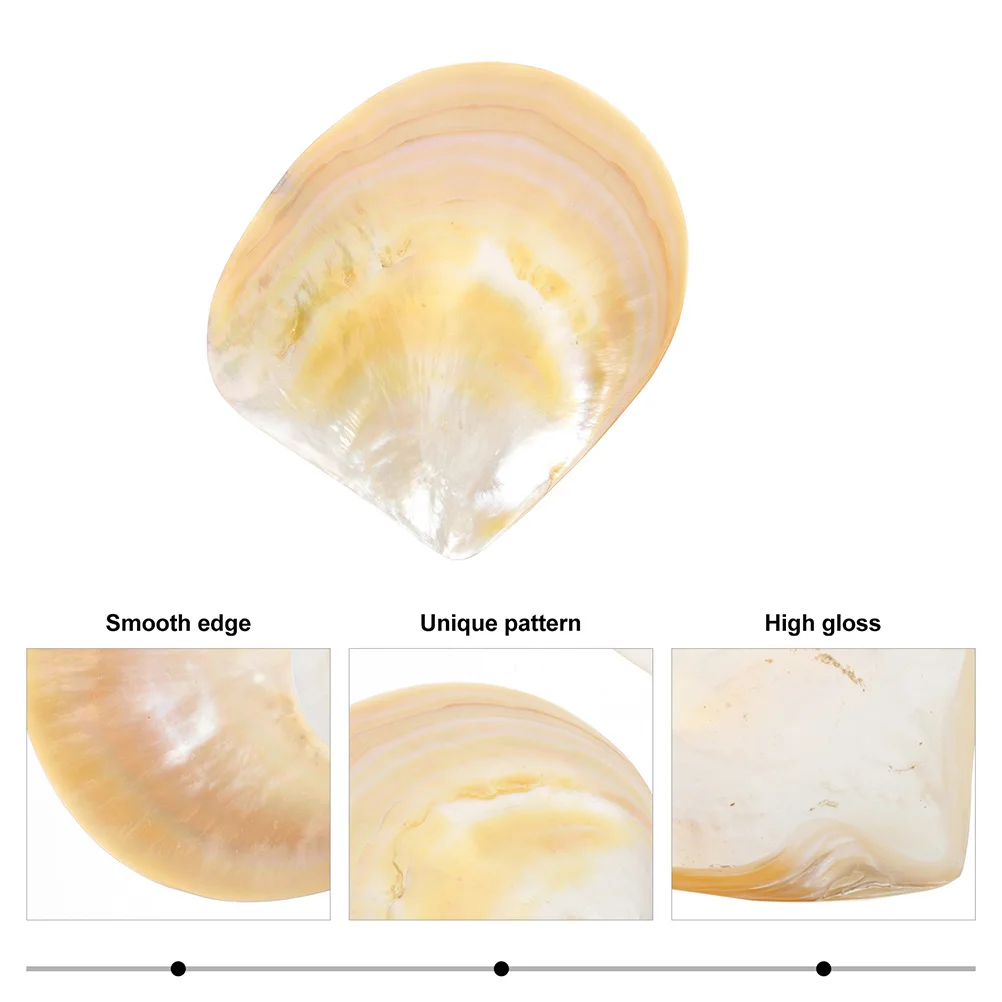 

1pcs Shell Dinner Dessert Serving Tray For Appetizers Salads Pasta Caviar Storage Kitchen Food Plate Home Tableware Snacks