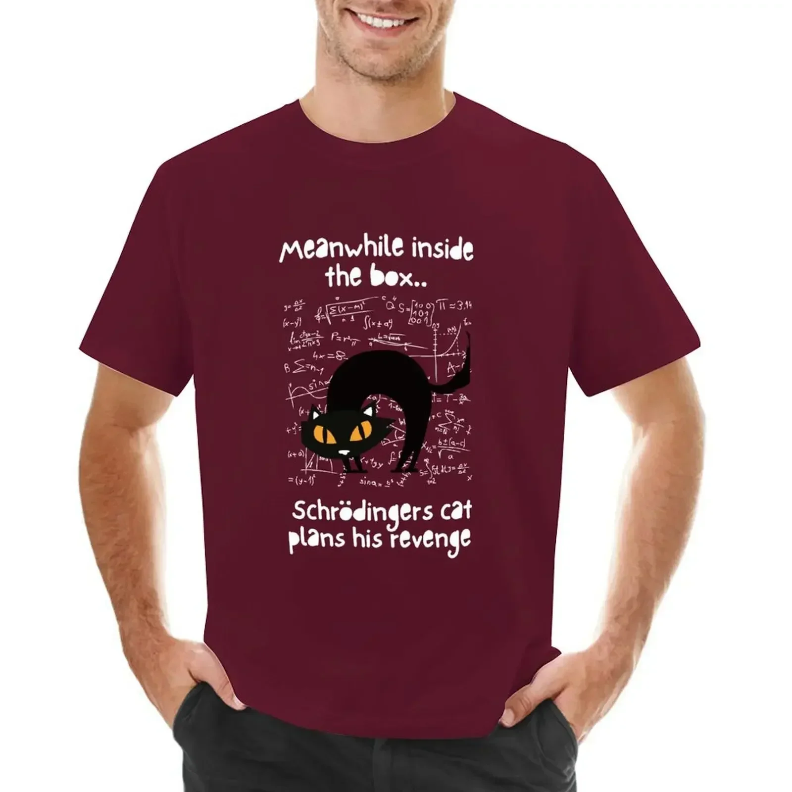 Schrodingers Cat Revenge T-shirt sublime summer tops oversized t shirt men Epictetus Stoic Philosopher Stoicism Quote WHAT WOULD