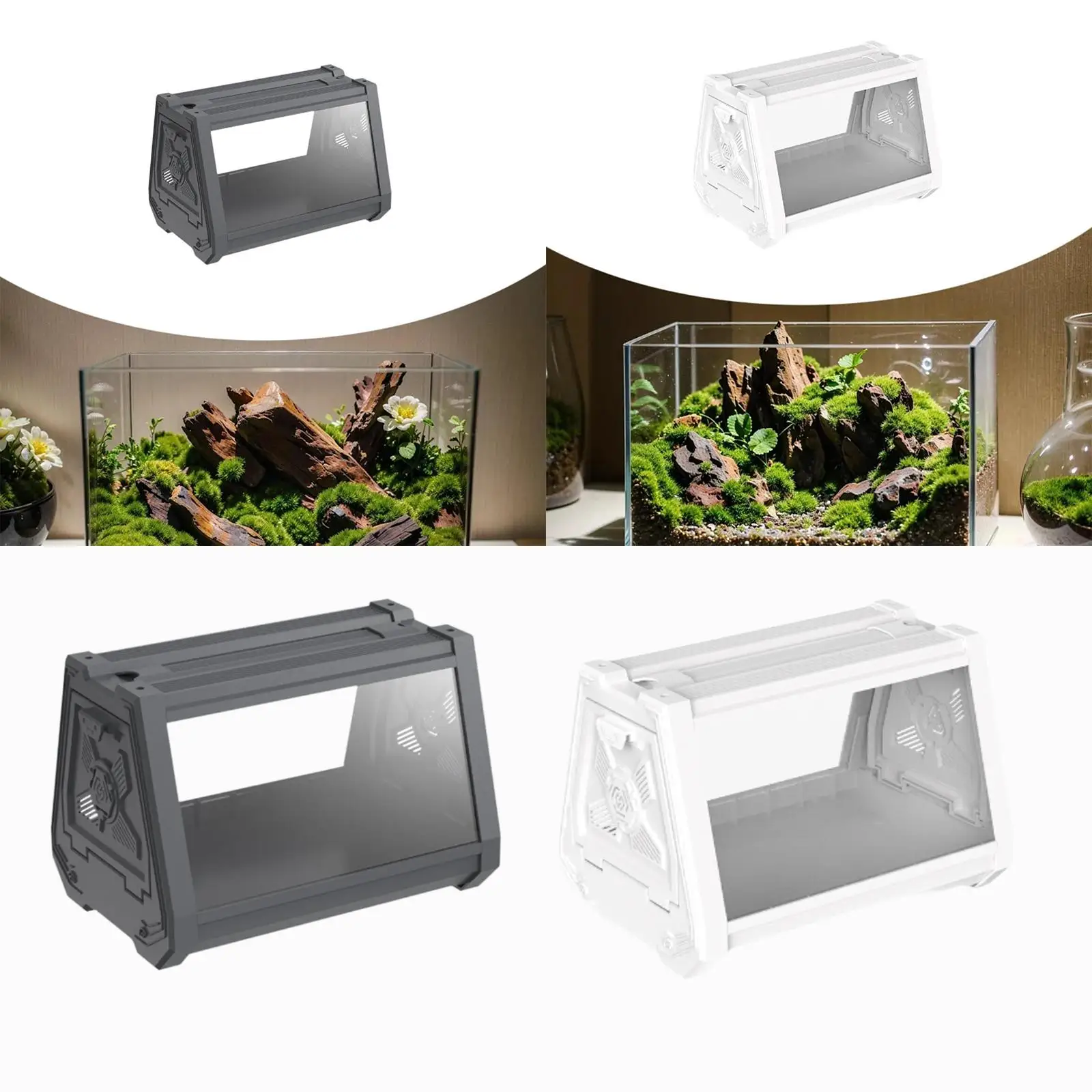 الزواحف تررم الموئل قفص تفقيس عرض الزواحف لحرباء التنين الملتحي الناسك #4