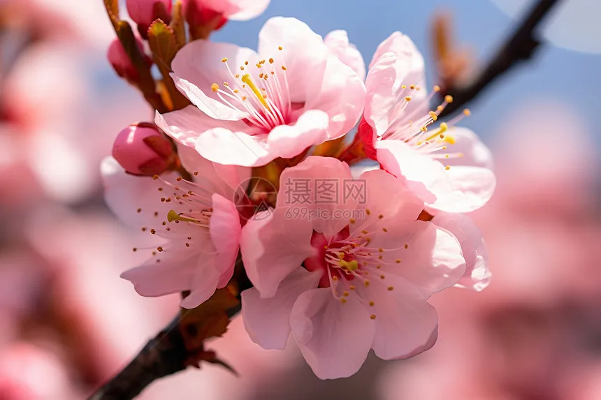 RC Modellauto Fernbedienung Auto 1/10 Auto Shell Säule Schwamm Dichtung Kunststoff Shell Schutz Pad 8 Anti-Verschleiß-Puffer Unterlegscheiben