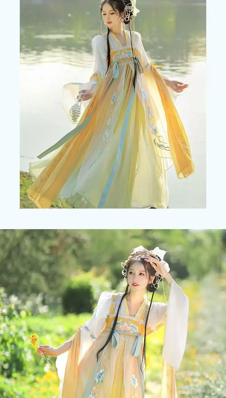 Set Hanfu in stile cinese Hanfu classico della dinastia Tang vestire abiti coordinati in stile Hanfu con ricamo retrò