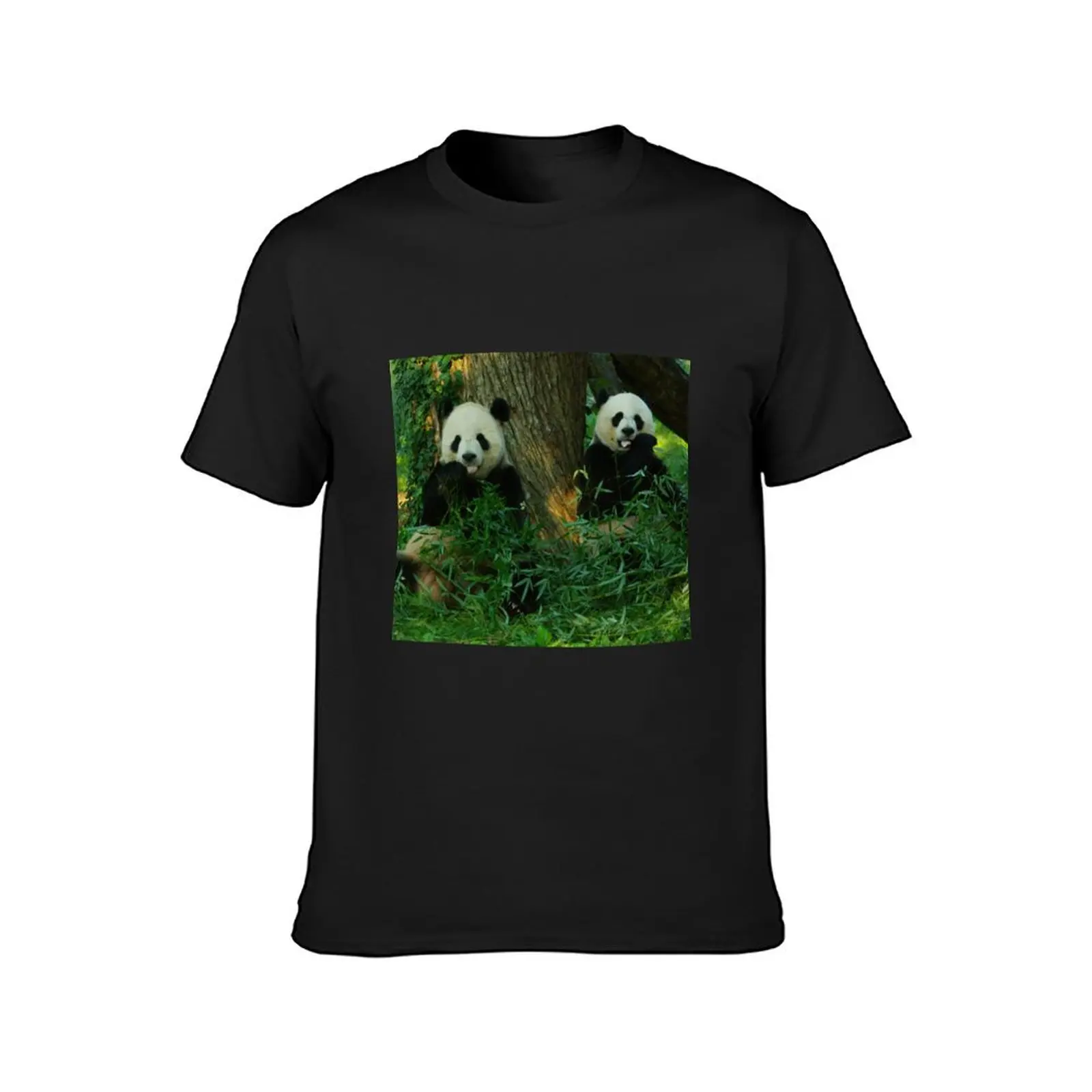 Giant Pandas Tian Tian and Mei Xiang at the National Zoo T-Shirt blanks plus sizes quick-drying cute clothes clothes for men