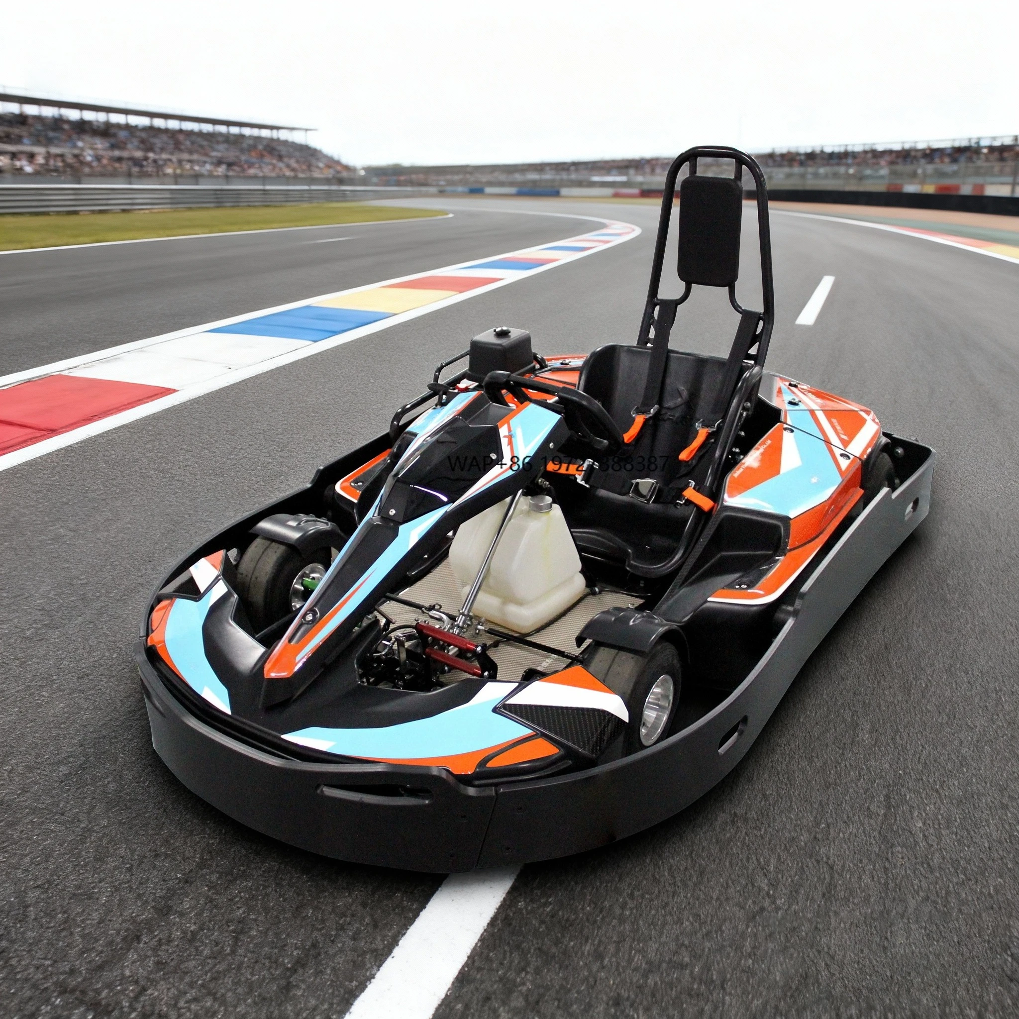 

Superior Quality Reasonable Price Combustion Go Kart Petrol Go-kart for Adults with 30CrMo Alloy Steel Chassis