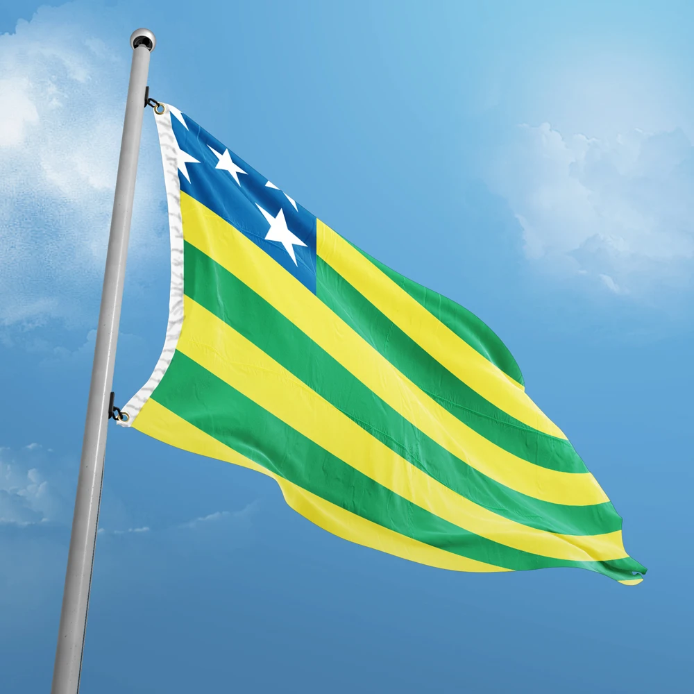 Flag of Goias 3 x 5 FT 90 x 150 cm Brazil Brazilian State Flags Banners  Design Custom Outdoor Decor  Polyester UV Resist