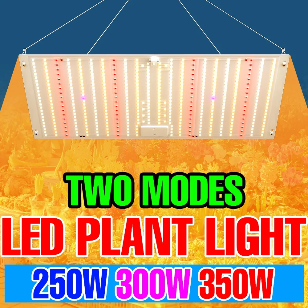 350W LED Full Spectrum Plant Grow Fill Light Indoor Quantum Board Bonsai Cactus Vegetables Hydroponics Cultivation Lighting