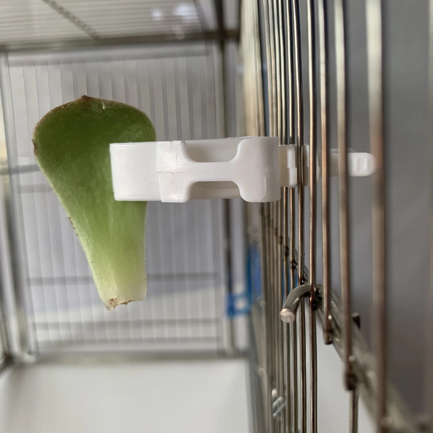 2pcs Small Pet Bird Feeder Food Holder Parrot Fruits Vegetables Clip Bone Feeder Device Clamp Bird Cage Accessories Oiseaux
