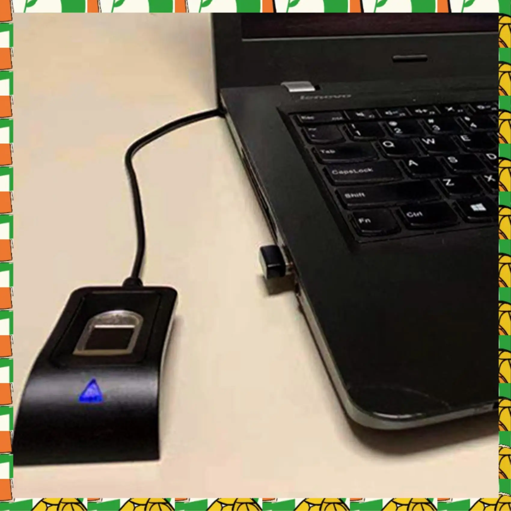 

Professional Tool 2X Compact USB Fingerprint Reader Scanner Reliable Biometric Access Control Attendance System