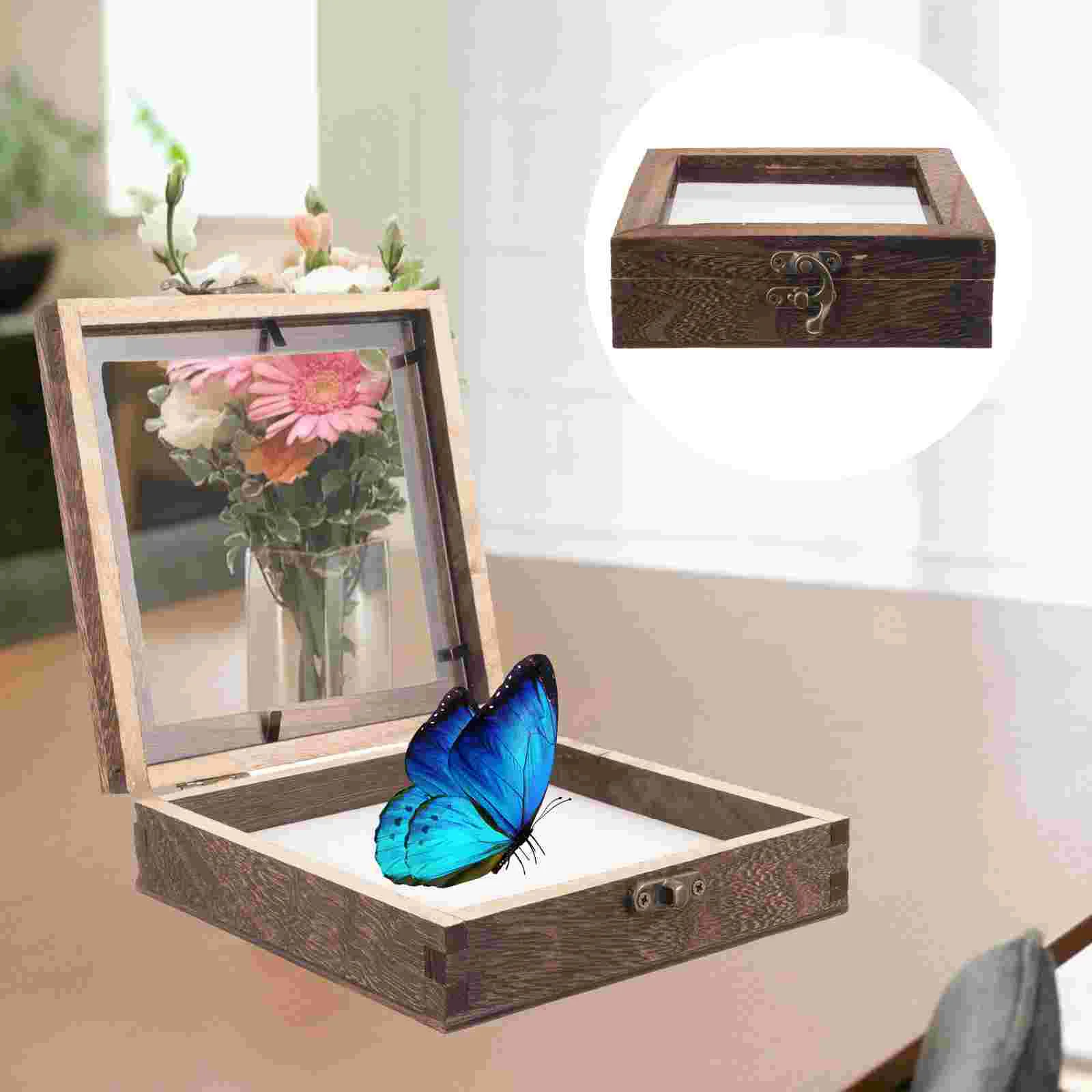 

Glass Insect Specimen Box Exhibit Wooden Display Case Jewelry Frame Holder Foam Mounting