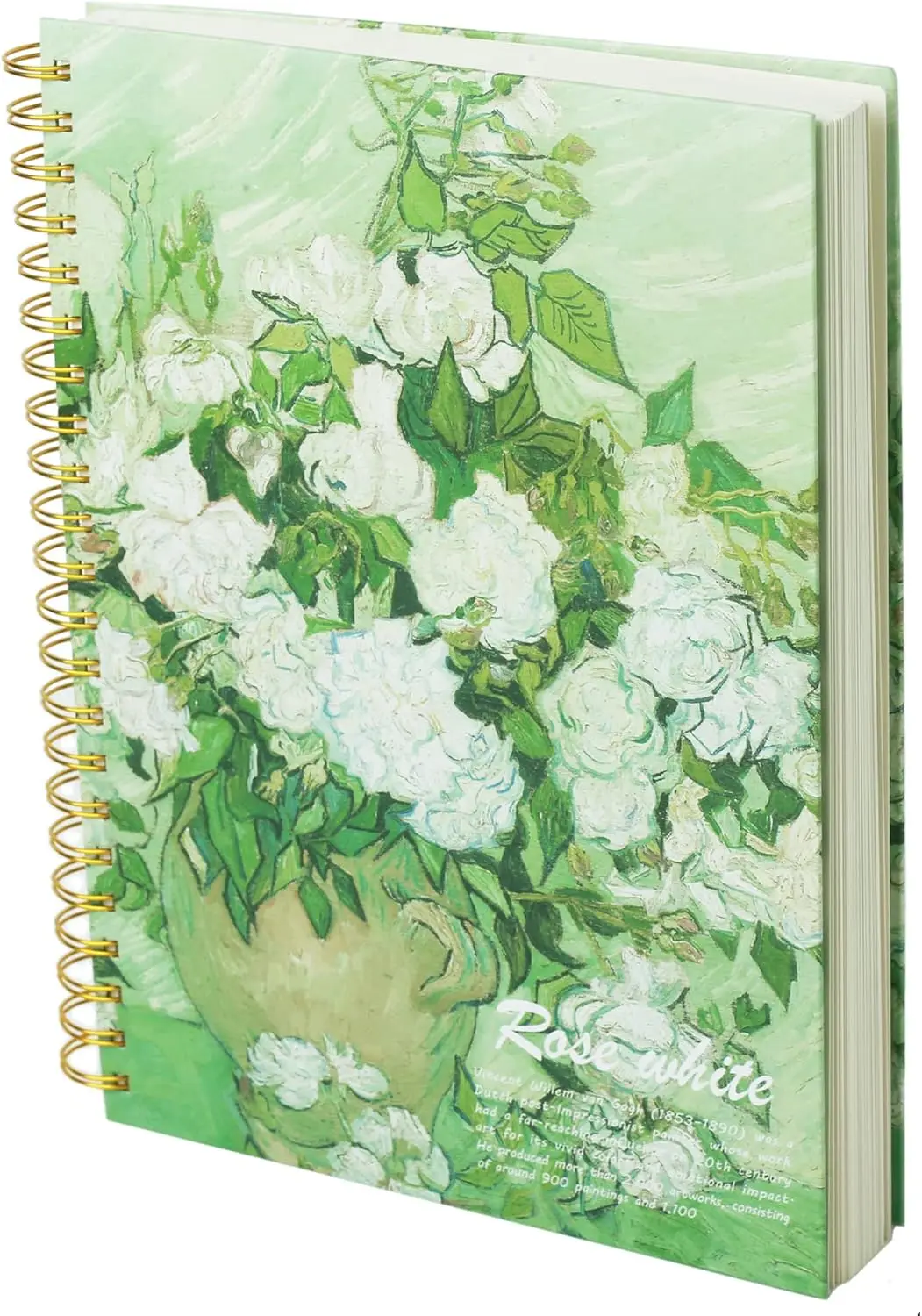 

Mixed Media Sketch Book A4, Spiral Bound 60 Sheets 160gsm Thick Paper for Sketching Drawing Painting with Hard Cover