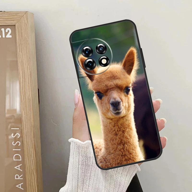 Cute Alpaca Donkey Case For OnePlus 12R 12 11 9 10 Pro 10R 10T OnePlus Nord 3 2T N10 N20 CE 2 Lite CE4 Cover image 3