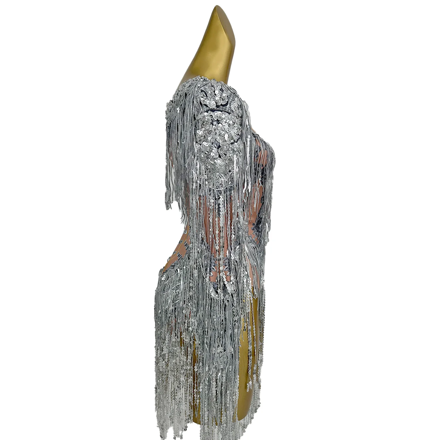 Shining Silver Tight Bodysuit Performance Dance Costume Women Sexy Mesh Stretch Sequins Fringes Nightclub Stage Outfit Liutang