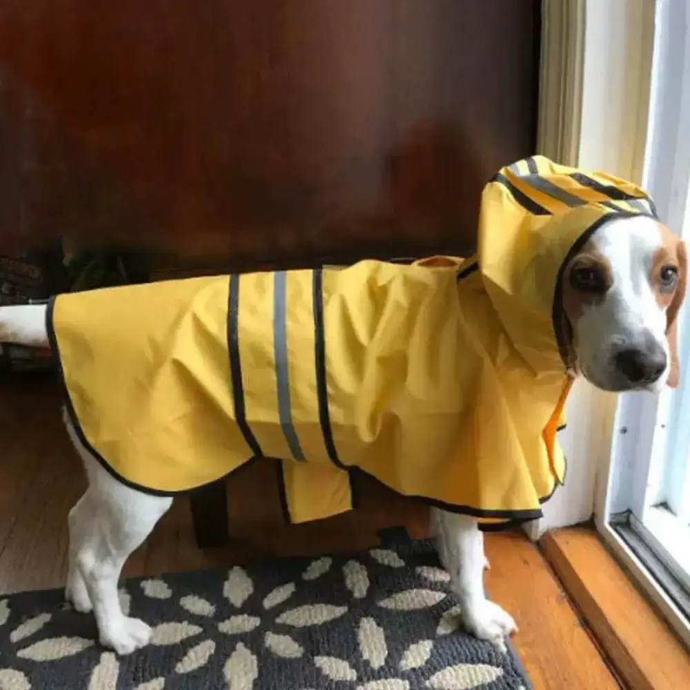 #9 Compare Pet Rain Jackets Before You Buy