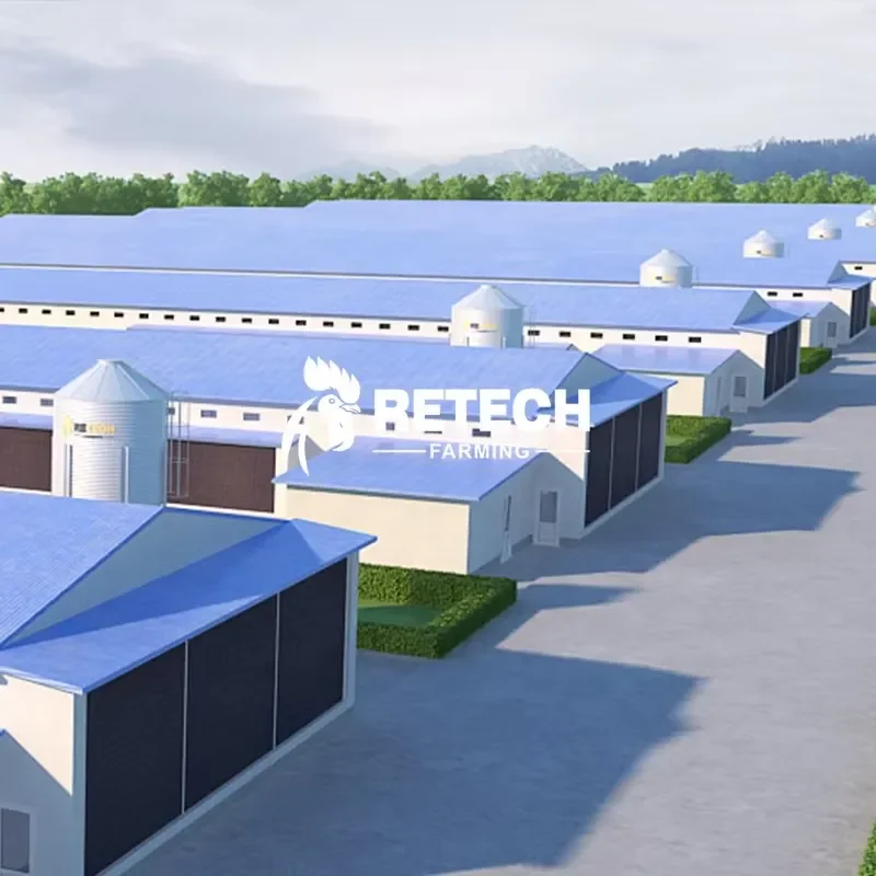 Fully Automated Chicken Farming Equipment Prefab Houses Steel Structure for Broiler Poultry