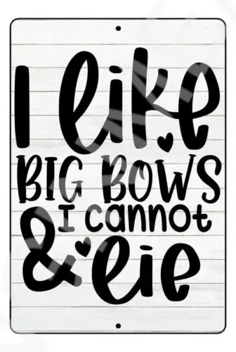 

I Like Big Bows And I Cannot Lie Funny Baby's Room Or Nursery Sign Weatherproof