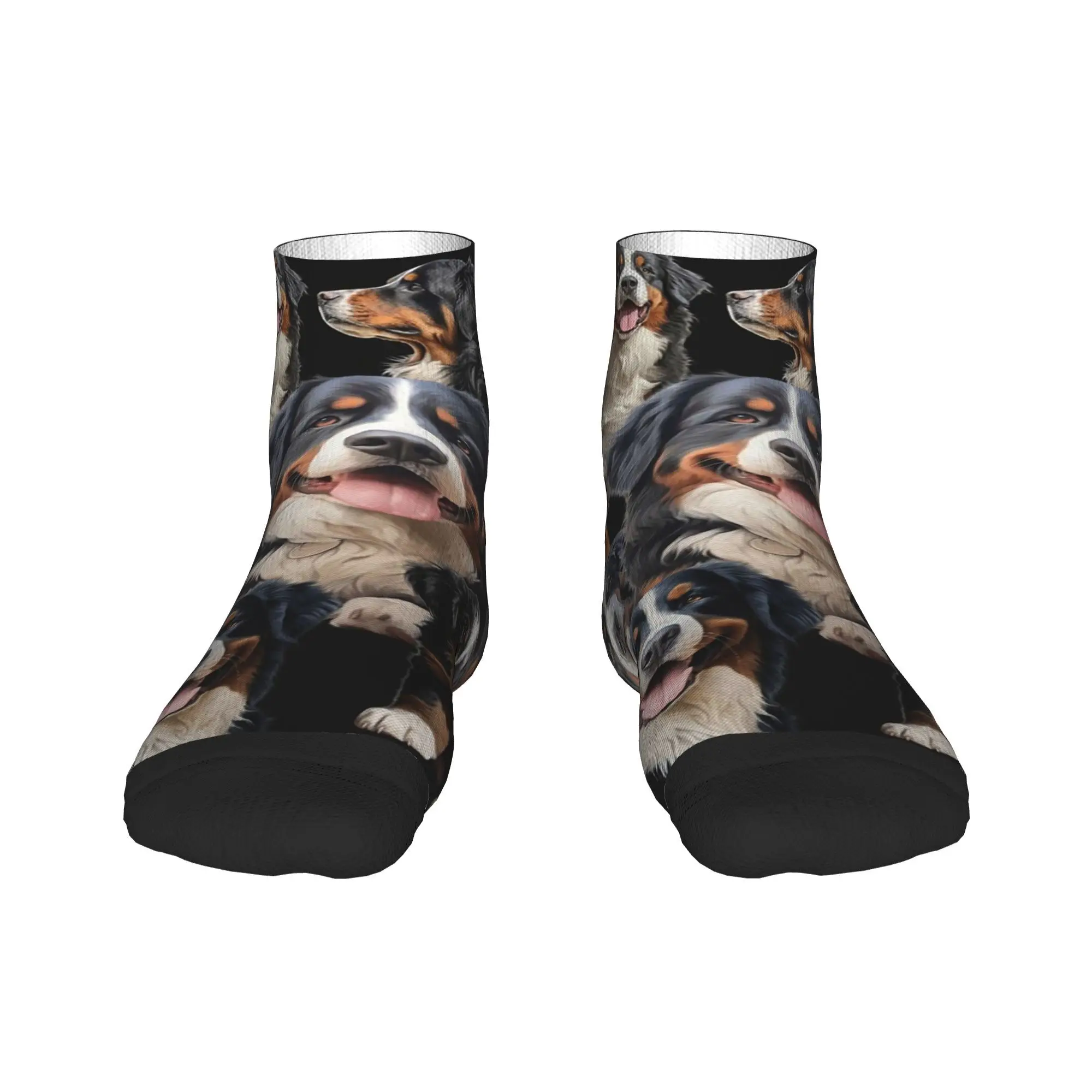 

Носки для бернского зенненхунда, впитывающие пот чулки в стиле Харадзюку, всесезонные носки, аксессуары для подарка на день рождения унисекс