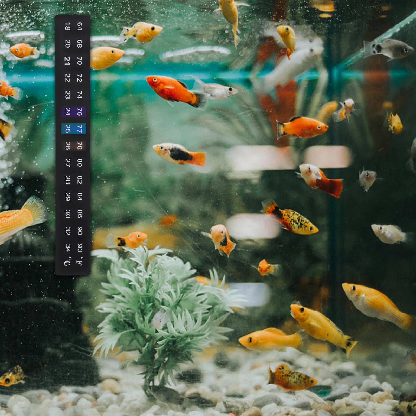 

10PCS Temperature Sticker 18~34℃ Color Changing Liquid Crystal Aquarium Fish Tank Thermometer for Jar Storage