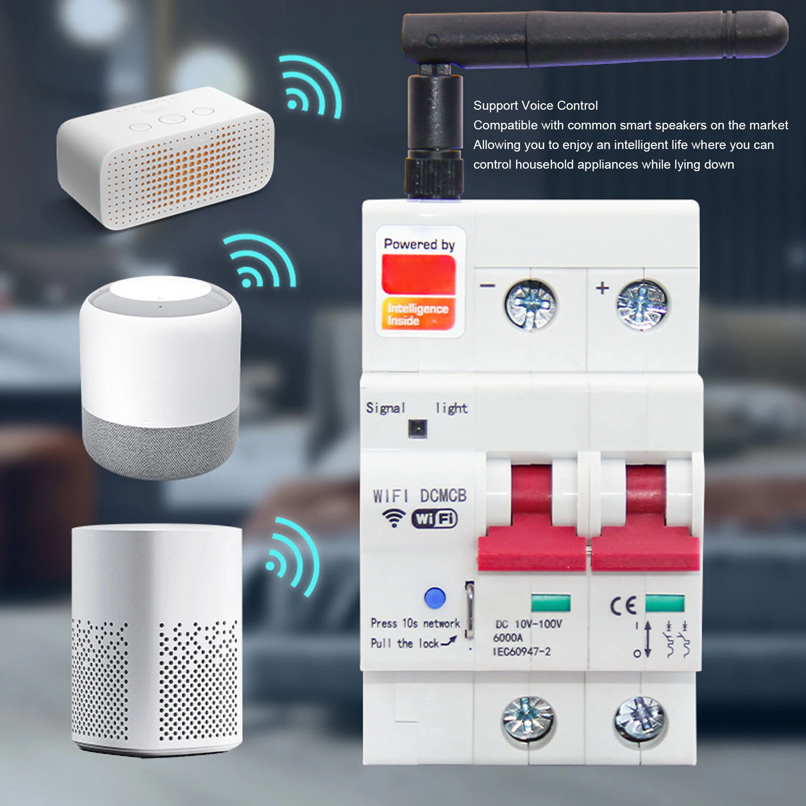 Smart  Circuit Breaker 2P APP Control Voice Control WiFi Circuit Breaker with Safety Lock DC10‑100V Smart  Circuit Breaker