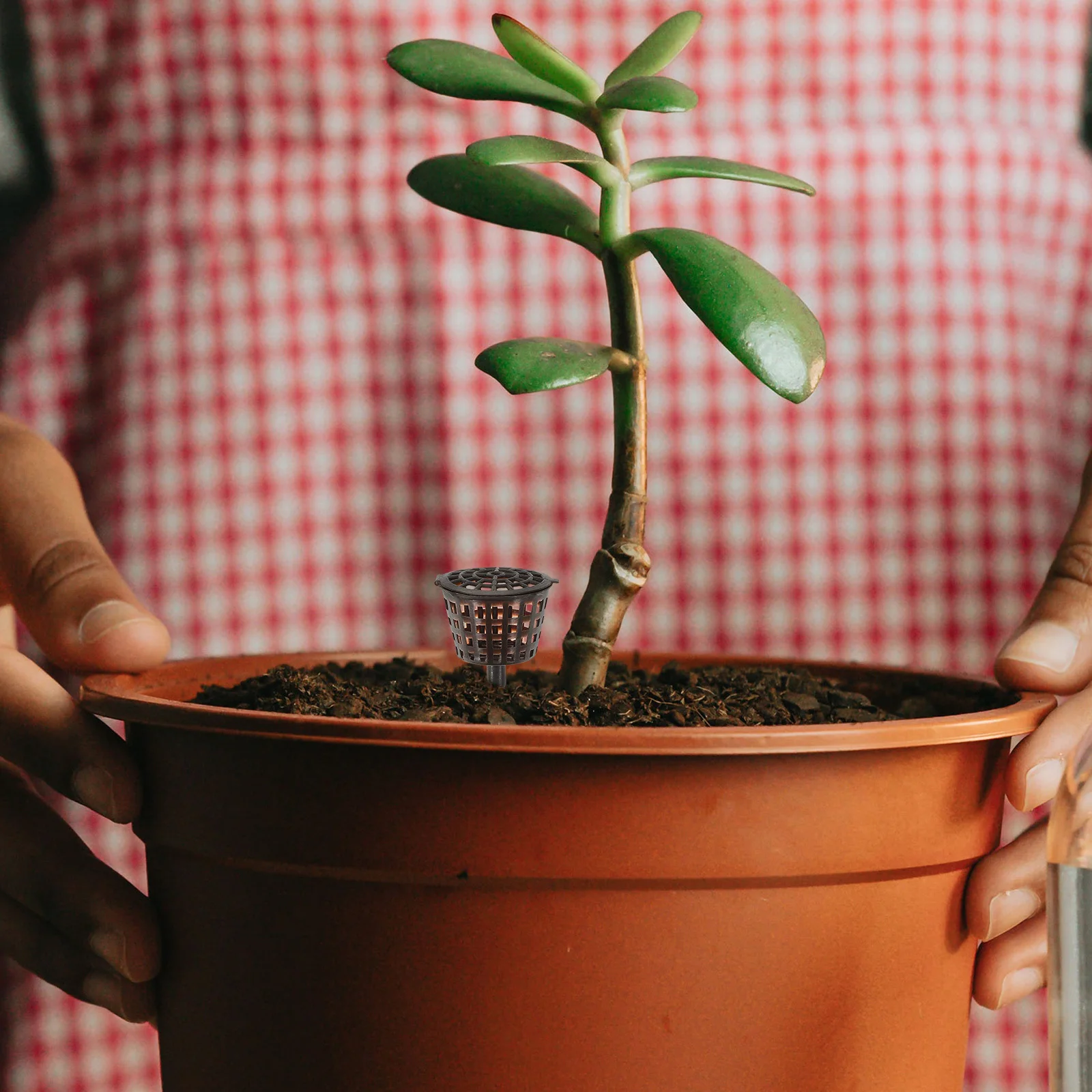 

20pcs Plastic Fertilizer Box Bonsai Nutrient Container Grow Fertilizer Baskets Flower Plant Pot With Cover Size S Coffee Ideal
