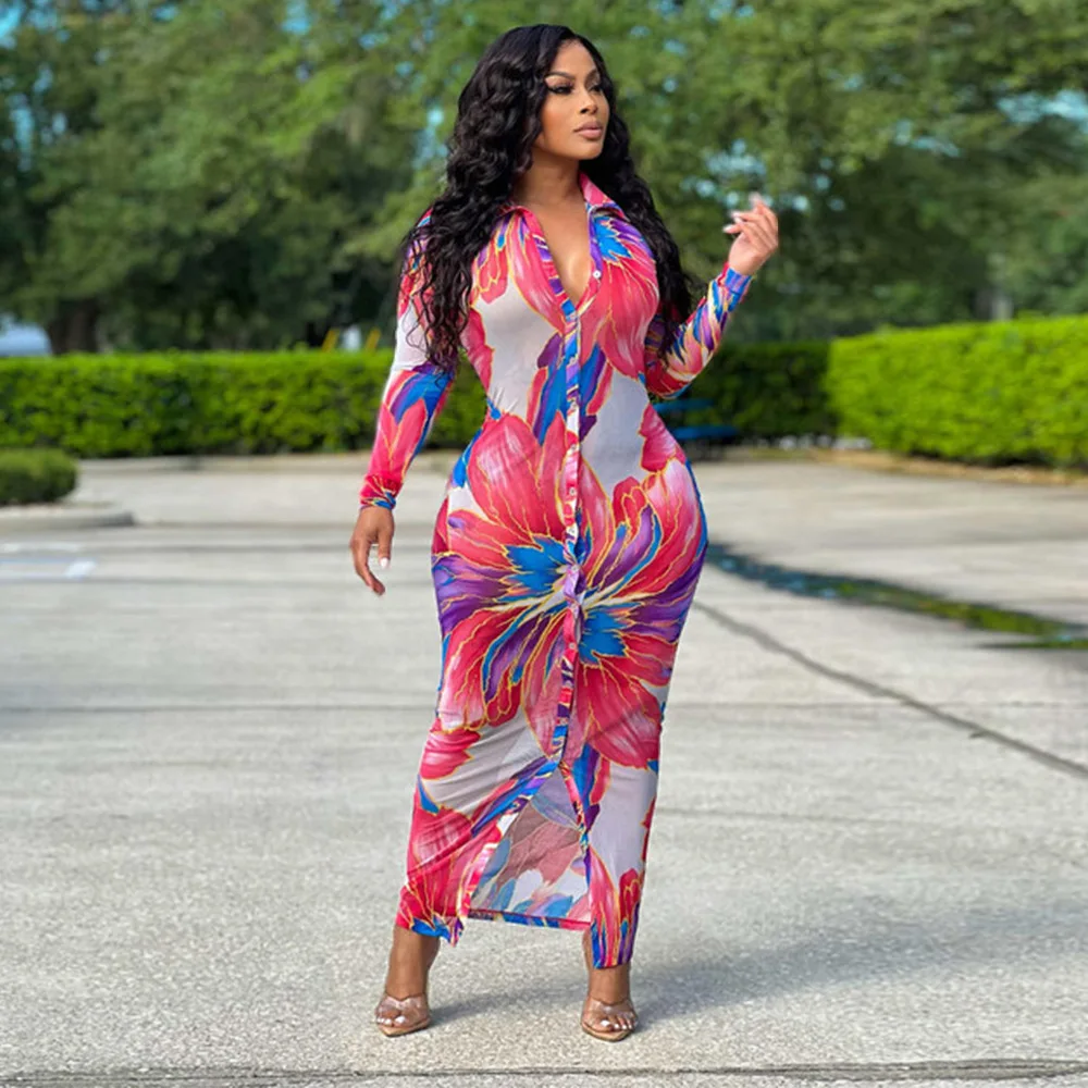 2024 primavera stampato abito lungo donna elegante scollo a v manica lunga partito Maxi vestito estate Skinny Boho abiti