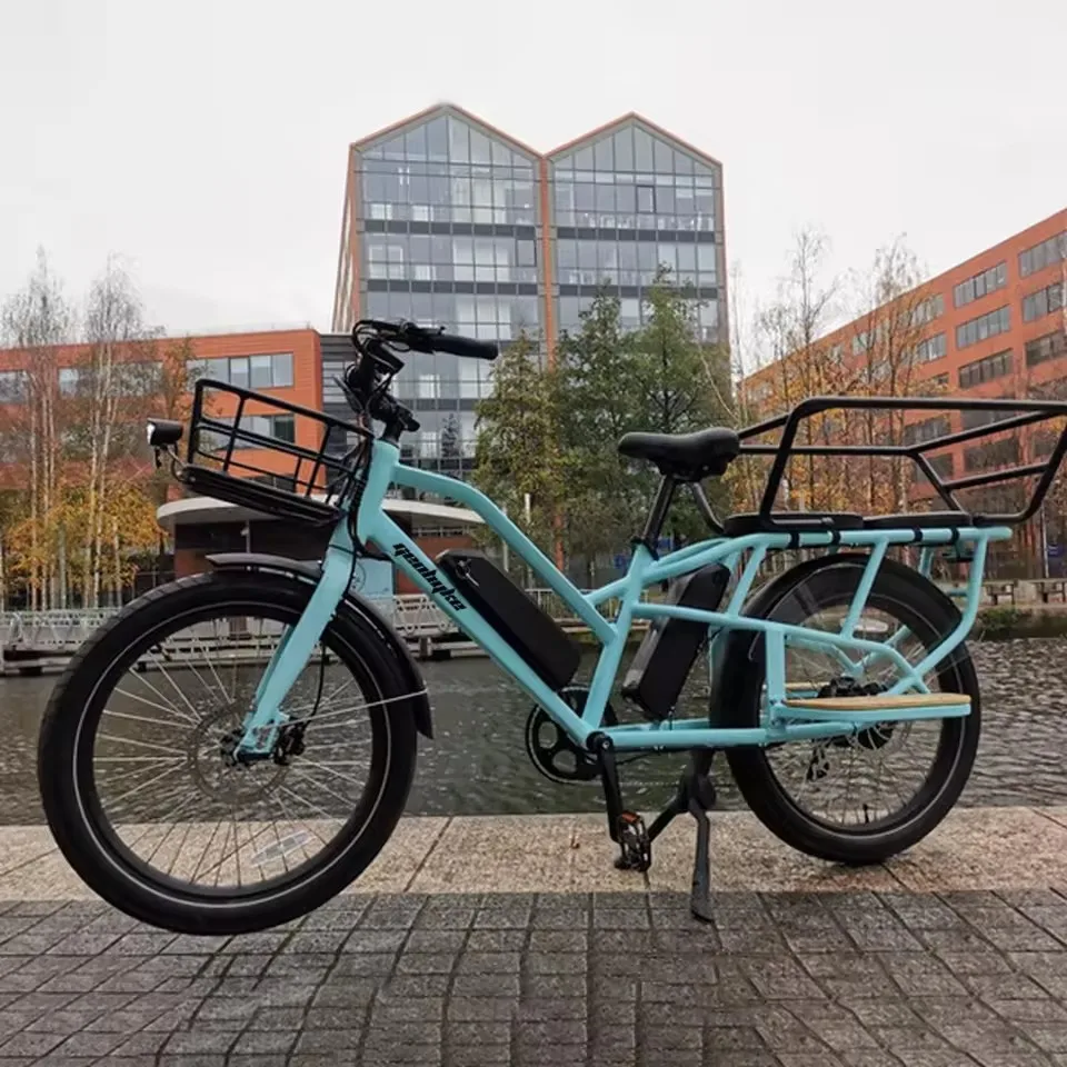 

OEM 250w 500w 750w 48v Dual Battery Fat Tire Hub Motor Family Electric Cargo Hybrld Bike Electric City Bicycle Ebike