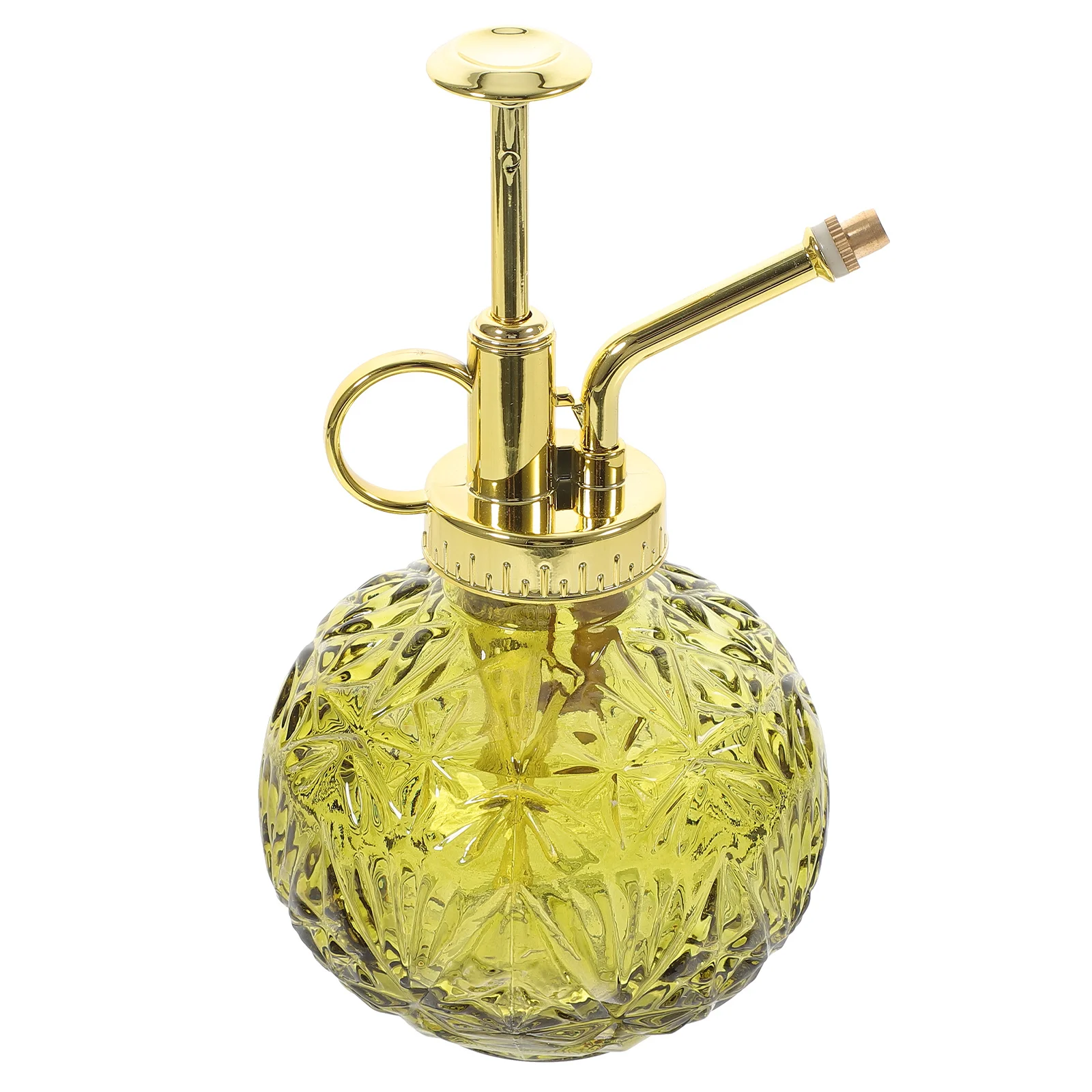 

Glass Plants Mister Spray Bottle Thickened Glass Body Clear Spray Bottle Small Pump Watering Pot Vintage Plant Mister Indoor