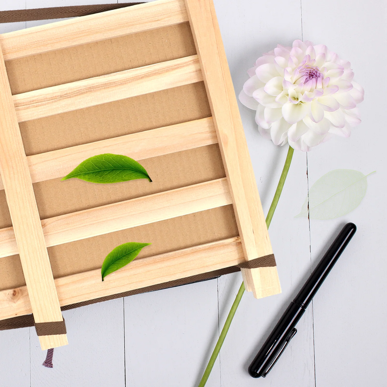 

1Set Wooden Specimens Holder Herbarium Clip Durable Teaching Equipment Laboratory Specimens Making Educational Tool