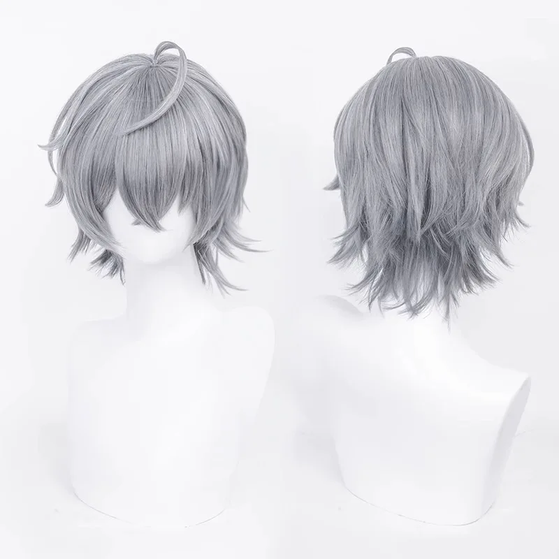 

Short Grey Fluffy Synthetic Wig for Men Cosplay Costume Party Heat Resistant Hair Halloween Everyday Wear