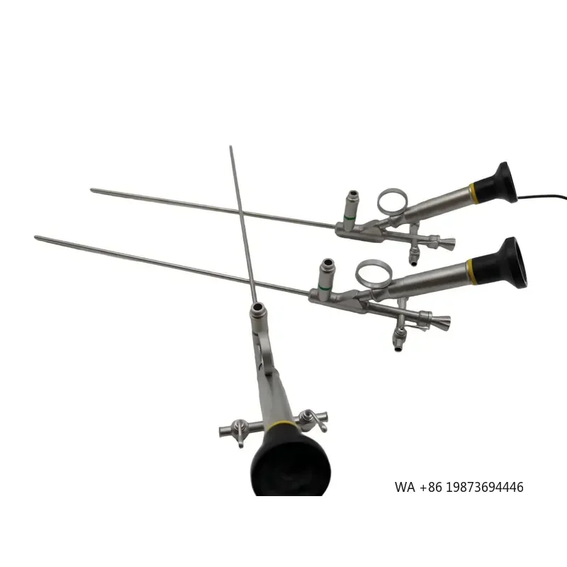 Wolf Mini Nephroscope 12 Fr Resectoscop Semi-rigid Urological Surgery Optical Endoscope the Basis of Surgical